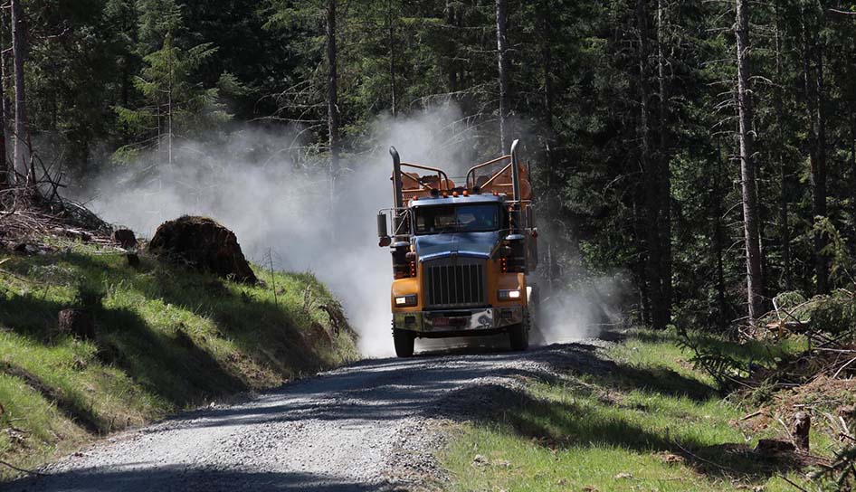 Ireland trucking hauling logs
